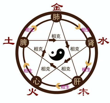 香蕉视频在线播放APP风水