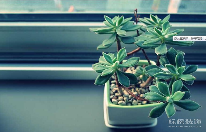 香蕉视频在线播放APP