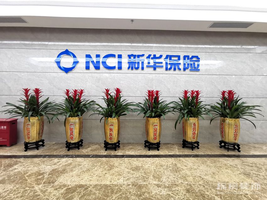 新华保险-香蕉视频在线播放APP-新电梯间