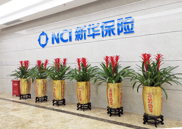 新华人寿保险股份有限公司深圳分公司-香蕉视频在线播放APP